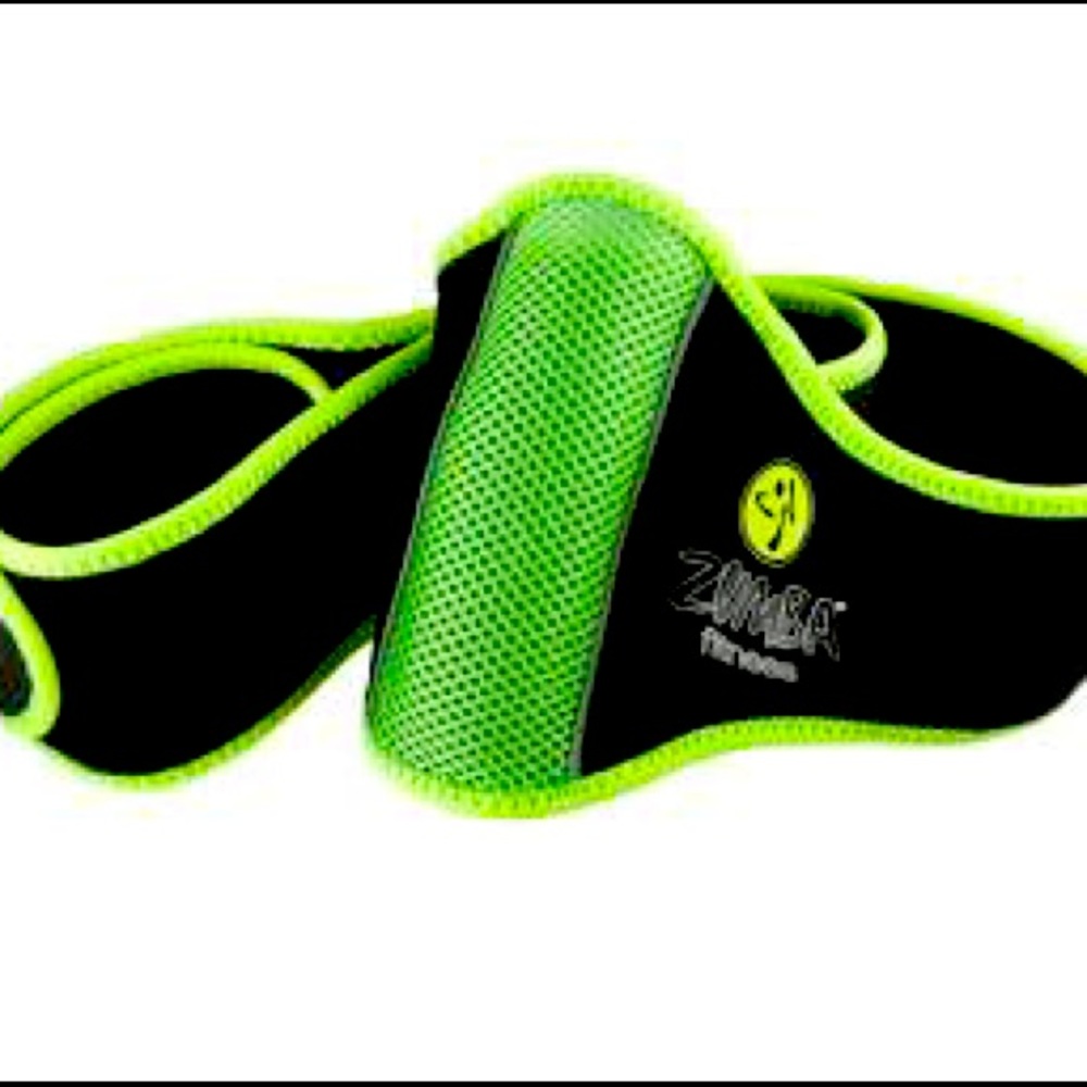 Wii Zumba Fitness belt